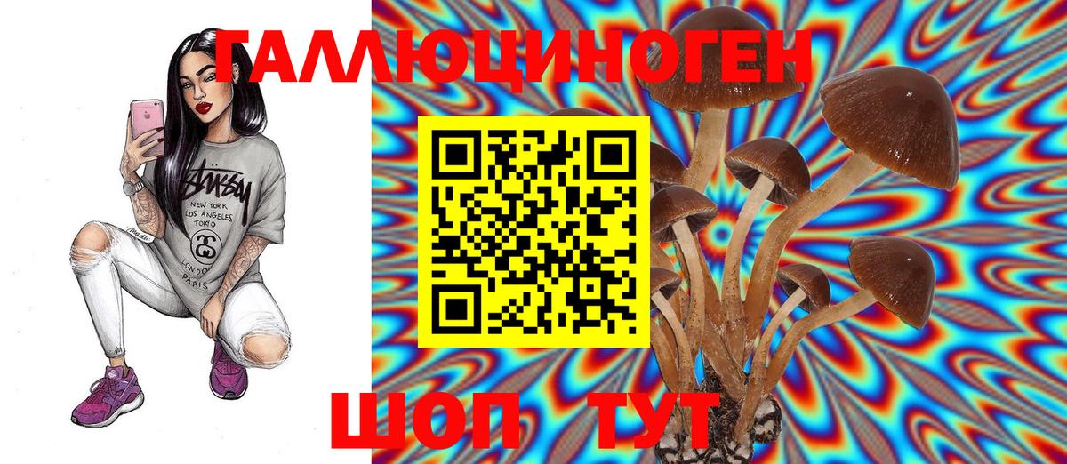 Менделеевск  Псилоцибиновые грибы прущие грибы  Вход с VPN 